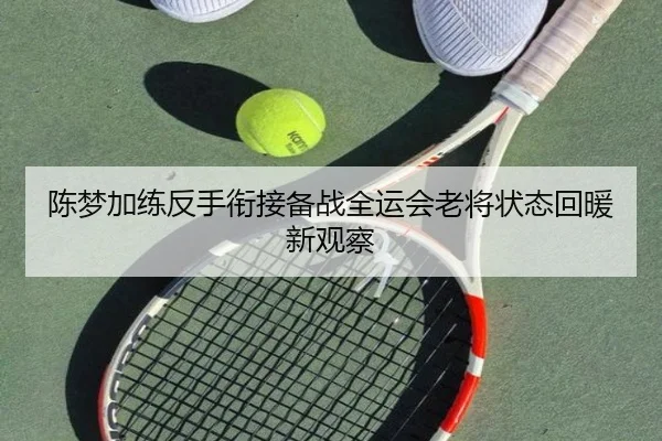 陈梦加练反手衔接备战全运会老将状态回暖新观察