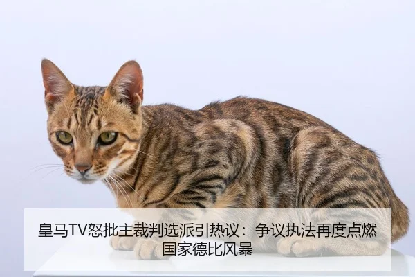 皇马TV怒批主裁判选派引热议：争议执法再度点燃国家德比风暴