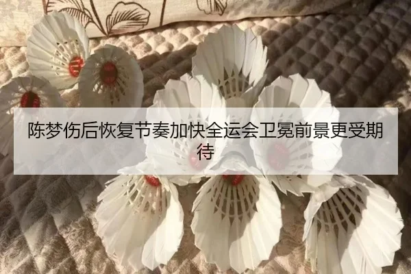 陈梦伤后恢复节奏加快全运会卫冕前景更受期待